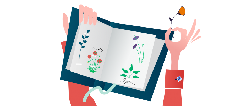 In diesem Blogpost erfährst du, wie du mit deinen SuS ein Herbarium anlegst