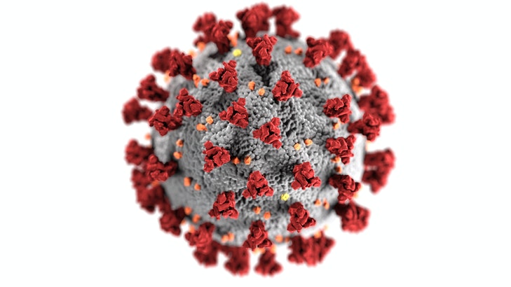 Nahansicht eines Coronavirus-Modells.