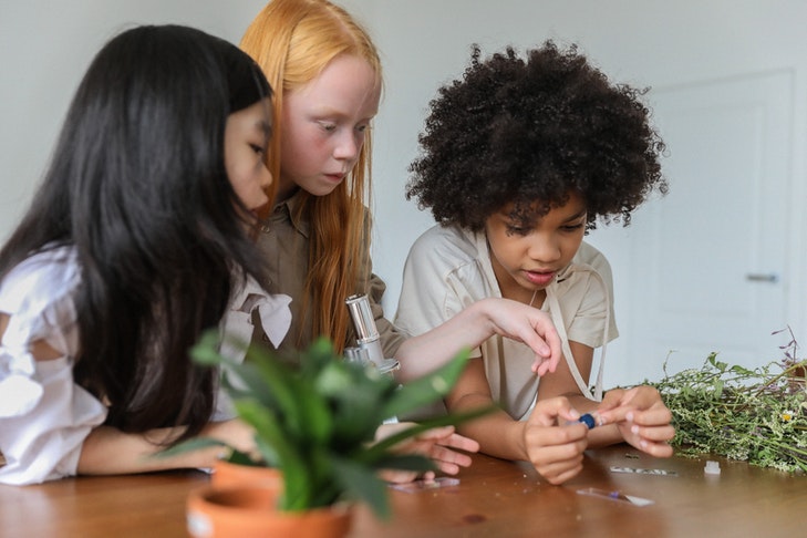 Drei Mädchen experimentieren mit einem Mikroskop und Pflanzen.